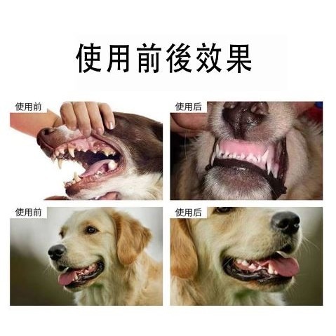 [台灣現貨] 寵物牙膏 狗牙膏 水果哈密瓜口味 💜香味牙膏 去除寵物口臭 預防牙結石-細節圖4