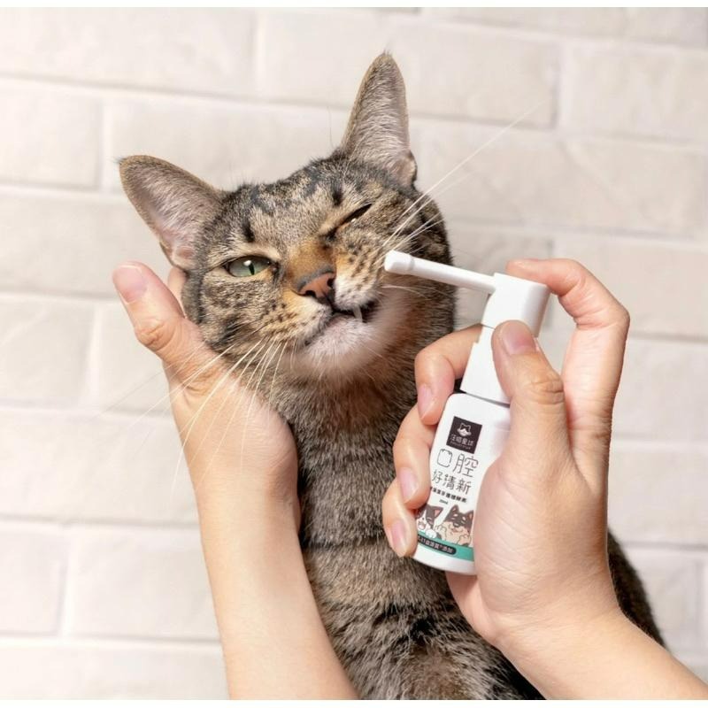 ✨【168汪喵】✨汪喵星球 噴劑型 潔牙護理酵素 30ml 犬貓皆可 口腔保健-細節圖2