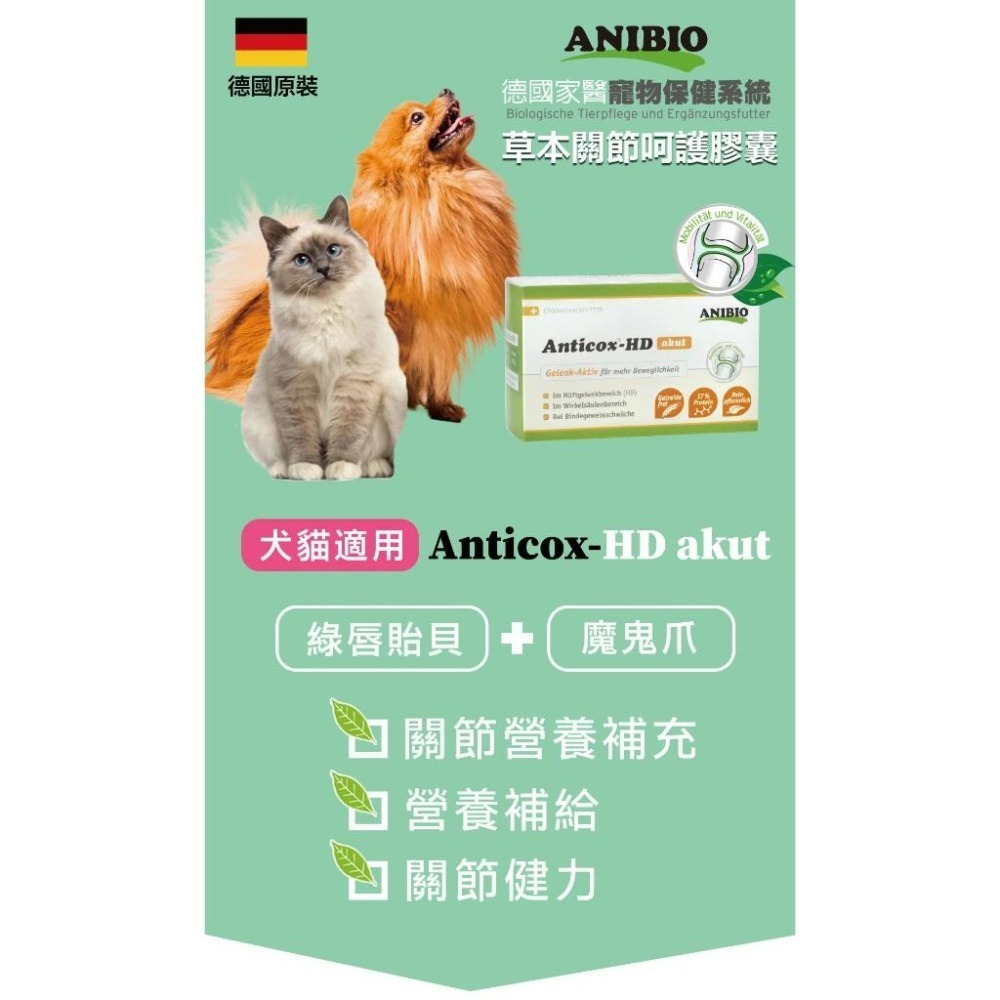 ✨【168汪喵】✨ ANIBIO 德國家醫 草本【關節保護】  關節呵護膠囊 狗貓適用 綠唇貽貝 50顆-細節圖2