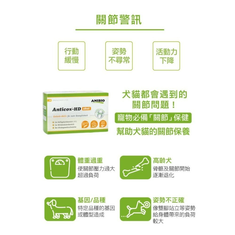 ✨【168汪喵】✨ ANIBIO 德國家醫 草本【關節保護】  關節呵護膠囊 狗貓適用 綠唇貽貝 50顆-細節圖3