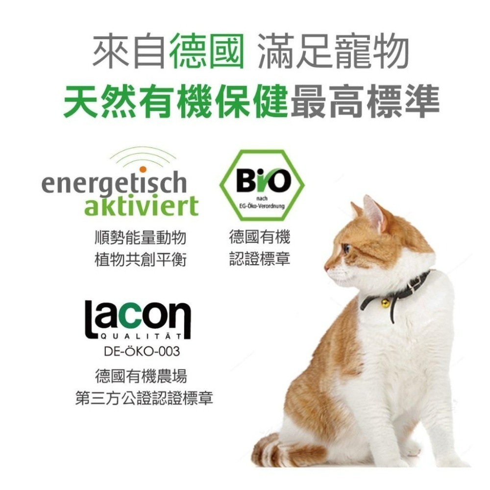 ✨【168汪喵】✨ ANIBIO 德國家醫 草本【關節保護】  關節呵護膠囊 狗貓適用 綠唇貽貝 50顆-細節圖5