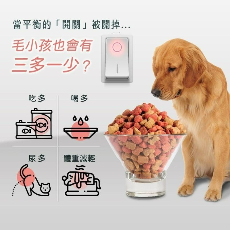 ✨【168汪喵】✨植寵艾尼 活醣樂 犬貓血糖管理 含菸鹼酸鉻 三價鉻 苦瓜胜肽 褐藻多酚-細節圖3