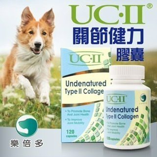 ✨【168汪喵】✨超優惠✨吉沛思 Zippets 樂倍多 狗狗 關節保健  褐藻糖膠  心血管保健 支氣管保健-細節圖8