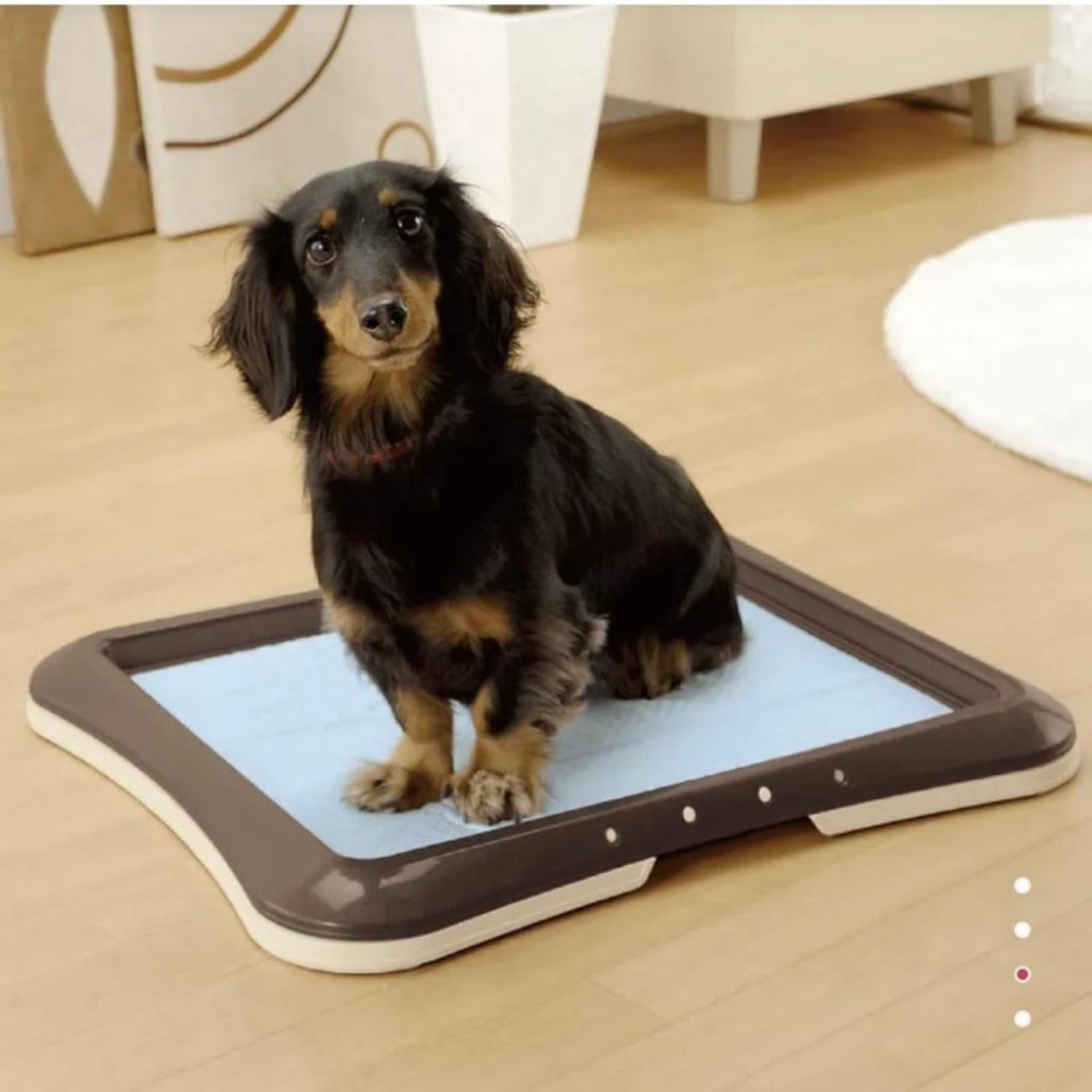 ✨【168汪喵】✨日本 利其爾 Richell 犬用平面便盆 平面兩用網狀便盆 平面網狀狗便盆薄型【狗便盆】-細節圖2