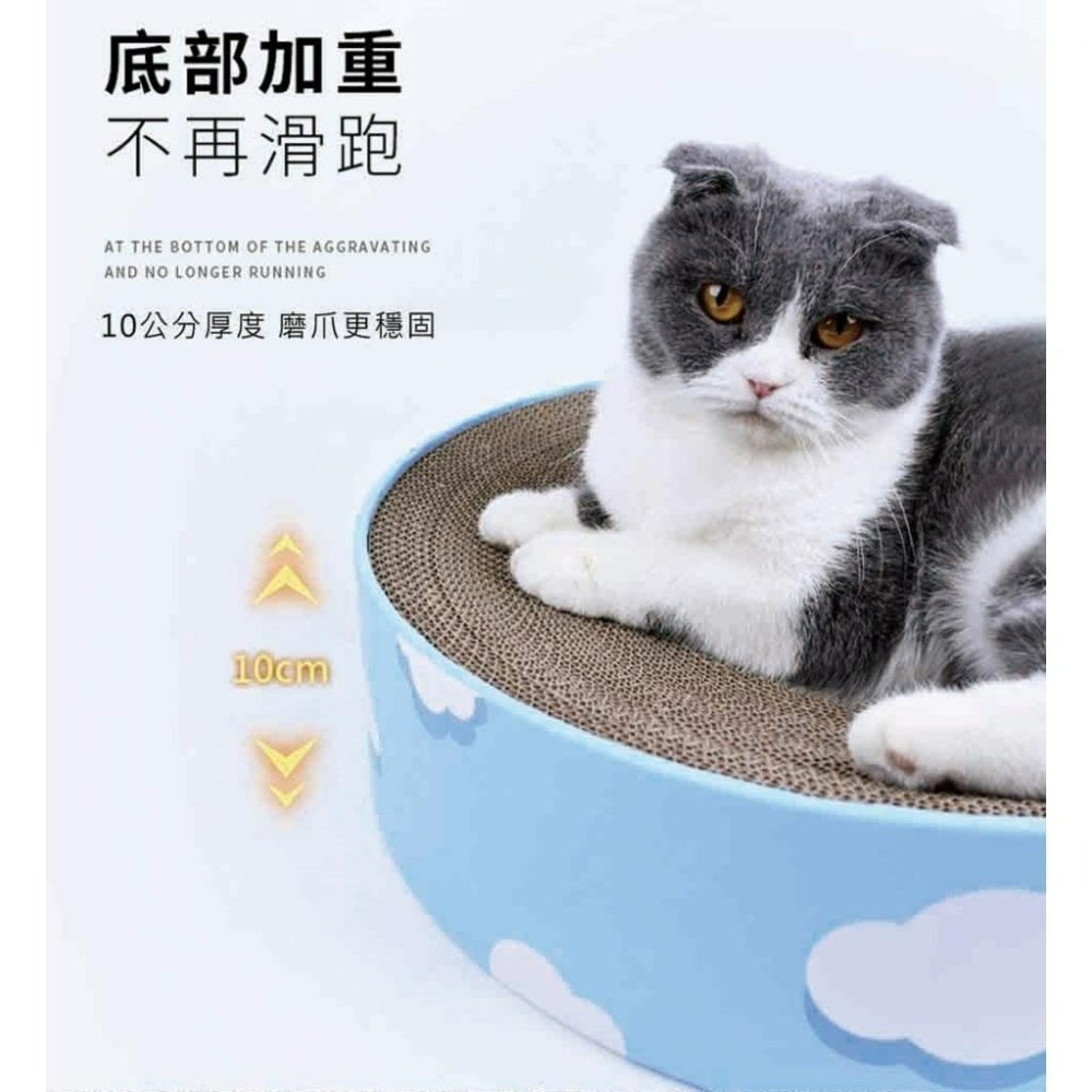 ✨【168汪喵】✨ 喵仙兒  圓形貓抓盆 【貓抓盆】【貓窩】【貓睡床】綿綿雲朵 嫩嫩貓爪 仙人掌-細節圖2