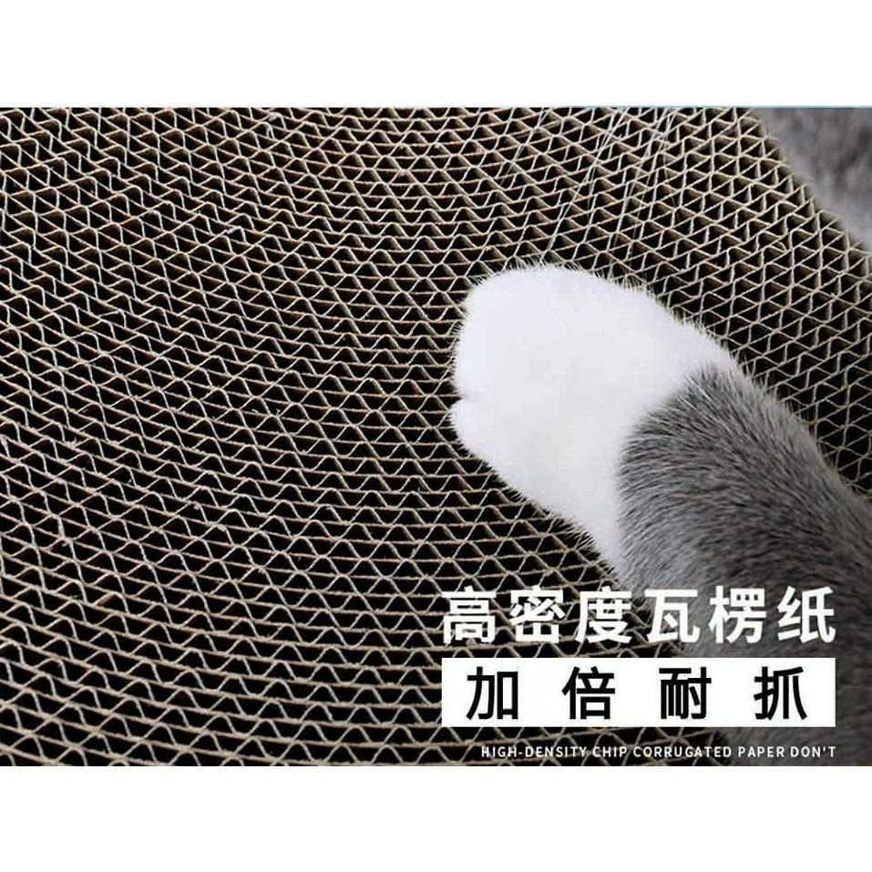 ✨【168汪喵】✨ 喵仙兒  圓形貓抓盆 【貓抓盆】【貓窩】【貓睡床】綿綿雲朵 嫩嫩貓爪 仙人掌-細節圖3