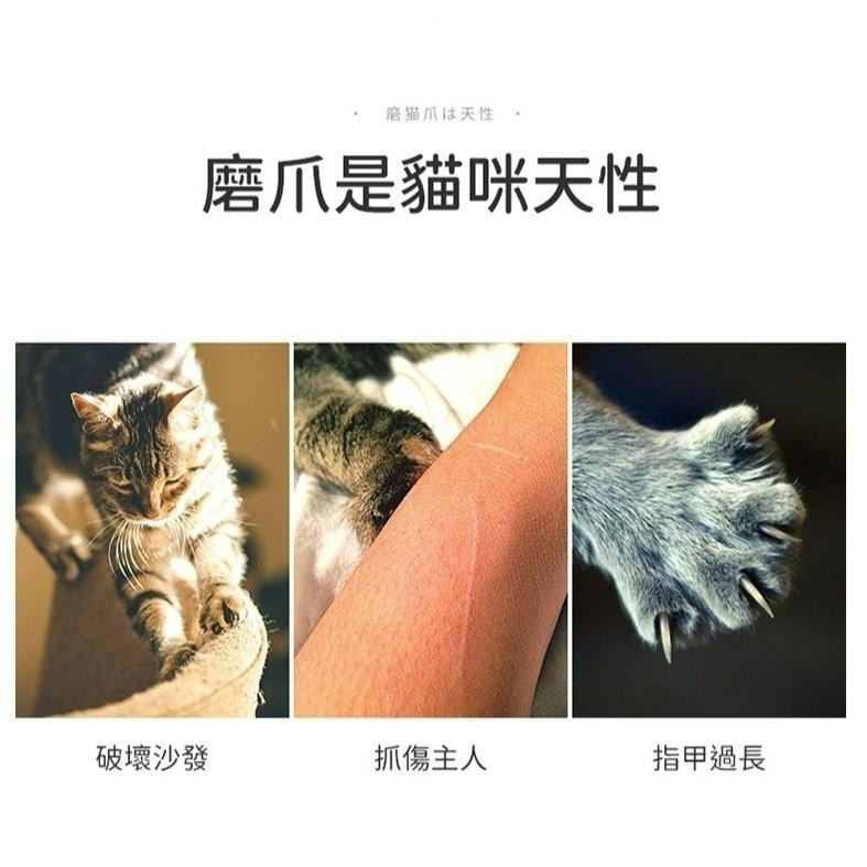 ✨【168汪喵】✨ 喵仙兒  圓形貓抓盆 【貓抓盆】【貓窩】【貓睡床】綿綿雲朵 嫩嫩貓爪 仙人掌-細節圖5