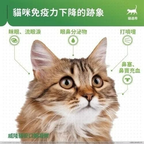 ✨【168汪喵】✨威隆 Vetoquinol 【貓安】益目明 Enisyl 貓安口服凝膠【離胺酸】離胺酸 左旋離胺酸-細節圖4