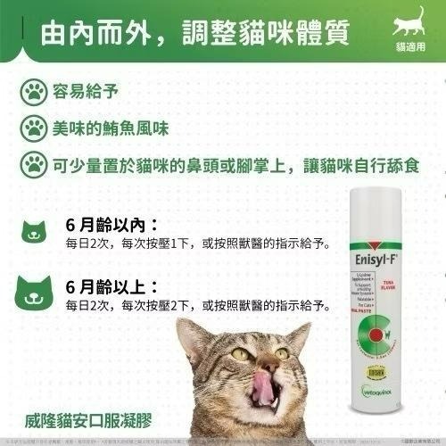 ✨【168汪喵】✨威隆 Vetoquinol 【貓安】益目明 Enisyl 貓安口服凝膠【離胺酸】離胺酸 左旋離胺酸-細節圖7