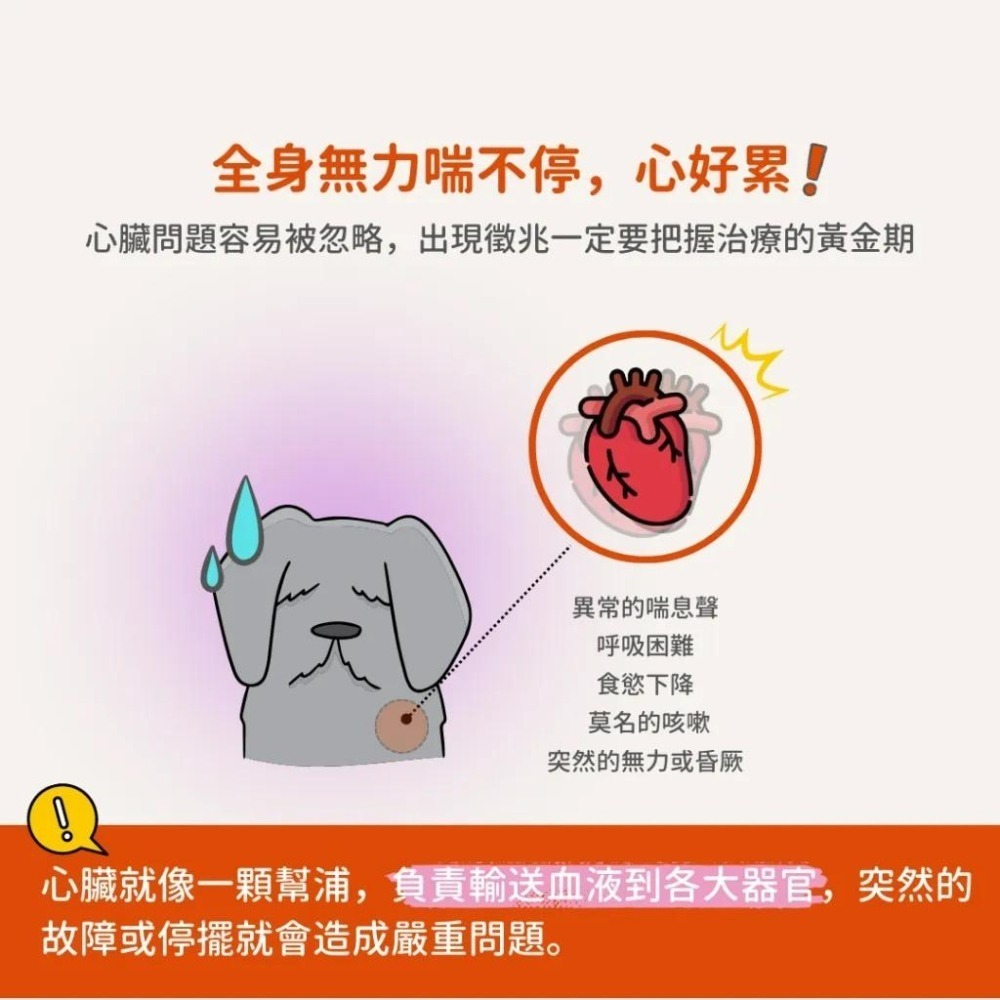 【168汪喵】 德國百年草藥之家 動物好朋友 【心血管保養】錠 犬用 左旋肉鹼 牛磺酸-細節圖5