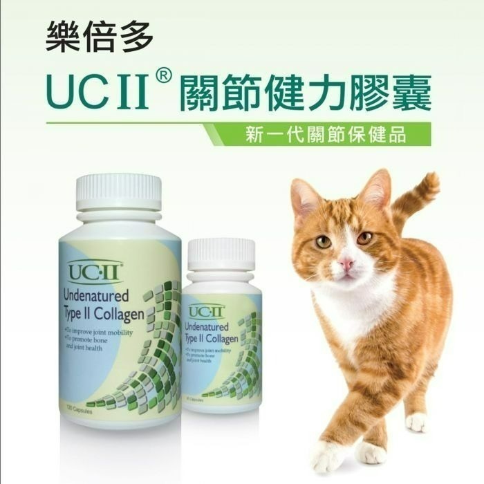 ✨【168汪喵】✨ UC2 樂倍多 公司貨 UC-II/30粒/120粒【非變性二型膠原蛋白】-細節圖2