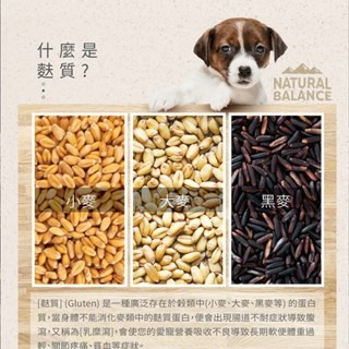 ✨【168汪喵】✨Natural Balance【狗飼料】低敏單一肉源系列 成犬配方 小顆粒【NB飼料】無麩質-細節圖3