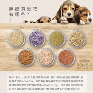 ✨【168汪喵】✨Natural Balance【狗飼料】低敏單一肉源系列 成犬配方 小顆粒【NB飼料】無麩質-細節圖5