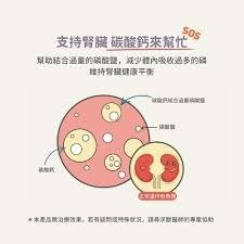✨【168汪喵】✨【犬貓用】腎平衡磷酸鹽代謝粉(140g) 犬貓腎臟保健 幫助減少磷含量攝取-細節圖2