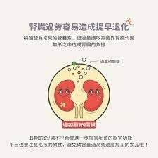 ✨【168汪喵】✨【犬貓用】腎平衡磷酸鹽代謝粉(140g) 犬貓腎臟保健 幫助減少磷含量攝取-細節圖3