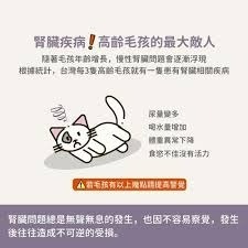 ✨【168汪喵】✨【犬貓用】腎平衡磷酸鹽代謝粉(140g) 犬貓腎臟保健 幫助減少磷含量攝取-細節圖4