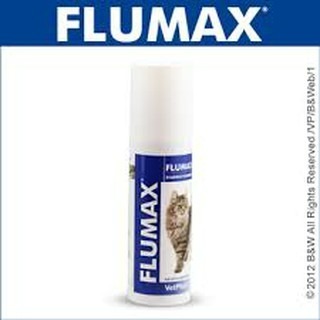 ✨【168汪喵】✨英國 VetPlus FLUMAX 貓服適 150ml【離胺酸 】 膏狀好吃好餵-規格圖2