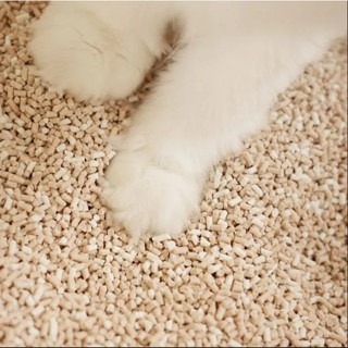 ✨【168汪喵】✨超凝小姐 益生菌除臭豆腐砂米粒型 7L/2.8kg  貓砂 米粒型 低粉塵-細節圖8