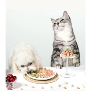 ✨【168汪喵】✨ 汪喵星球  犬貓凍乾機能保健丁 狗零食 貓零食 保健零食-細節圖2
