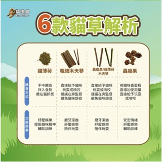 ✨【168汪喵】✨Cat Glory 驕傲貓【貓咪舒壓】極細貓薄荷葉 細木天蓼枝 貓薄荷裹木天蓼枝 蟲癭果裹木天蓼枝-細節圖3