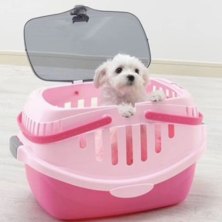 ✨【168汪喵】✨ 公司貨 日本Richell PICO 利其爾 寵物休閒提籃 外出提籃 貓 狗 兔 適用 【寵物提籃】-細節圖2