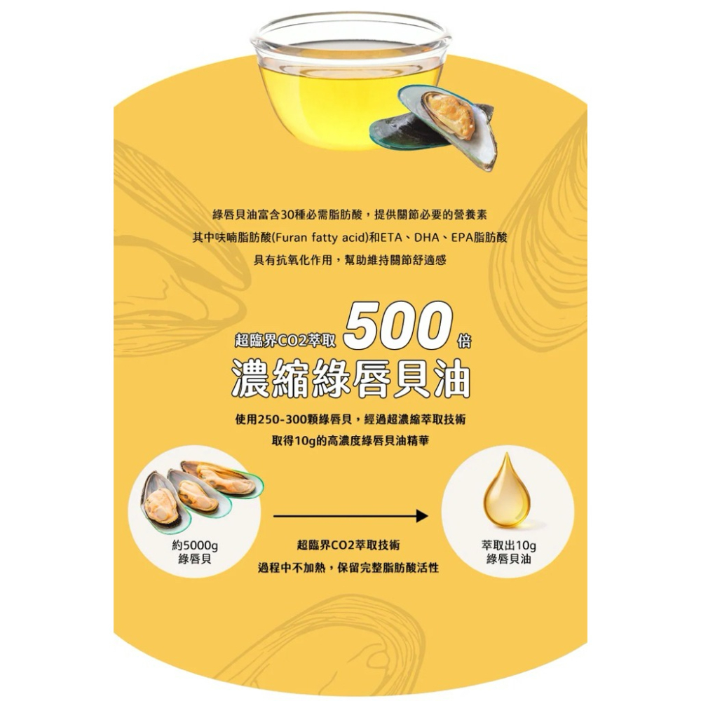 ✨【168汪喵】✨紐西蘭FF 超濃縮綠唇貝油150ml【 關節保健】-細節圖6