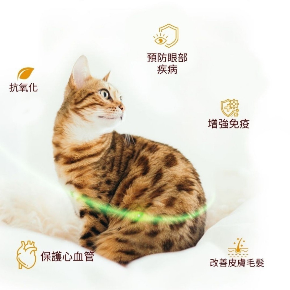 ✨【168汪喵】✨喵Bar 肉多多 化毛貓餐罐 化毛補水罐 80g 白肉罐 副食罐 機能罐 美味 補水【貓罐頭】-細節圖7