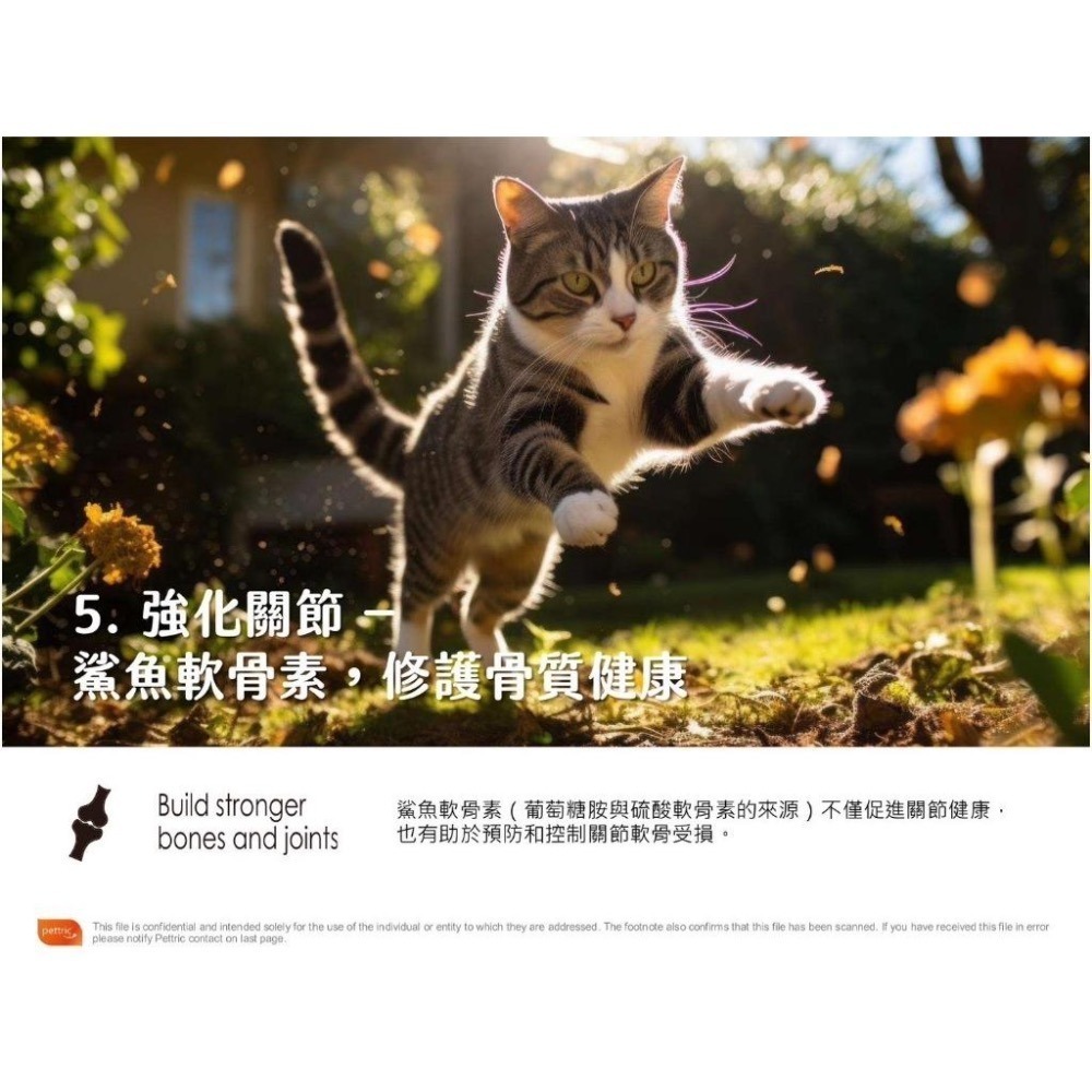 ~Petroyal~ 法麗 Cherie 低碳無穀凍乾糧 自然小貓 貓飼料 凍乾貓糧 低碳貓飼料 無穀貓飼料 凍乾貓飼料-細節圖5