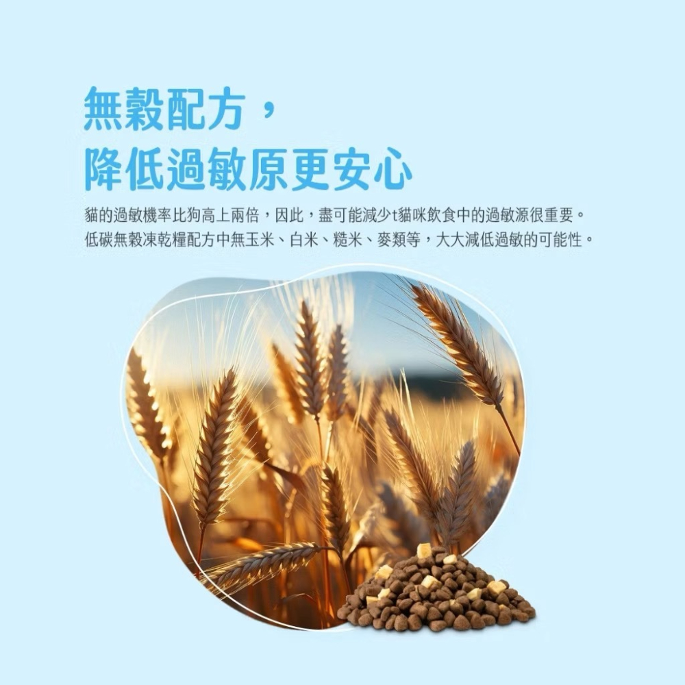 ~Petroyal~ 法麗 Cherie 低碳無穀凍乾糧 自然小貓 貓飼料 凍乾貓糧 低碳貓飼料 無穀貓飼料 凍乾貓飼料-細節圖7