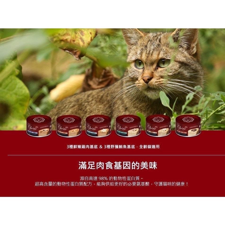 ~Petroyal~ Cherie 法麗 小紅罐 全方位無膠貓主食罐 小紅罐 鵝絨慕斯口感 80g 貓罐頭 貓主食罐-細節圖6