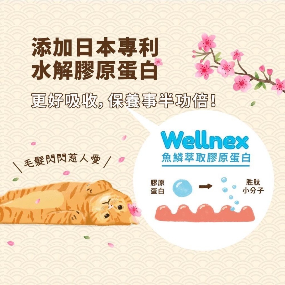 ~Petroyal~ 【HeroMama】 阿嬤養的 機能手切肉乾 30g 貓零食 貓肉乾 4種口味-細節圖3