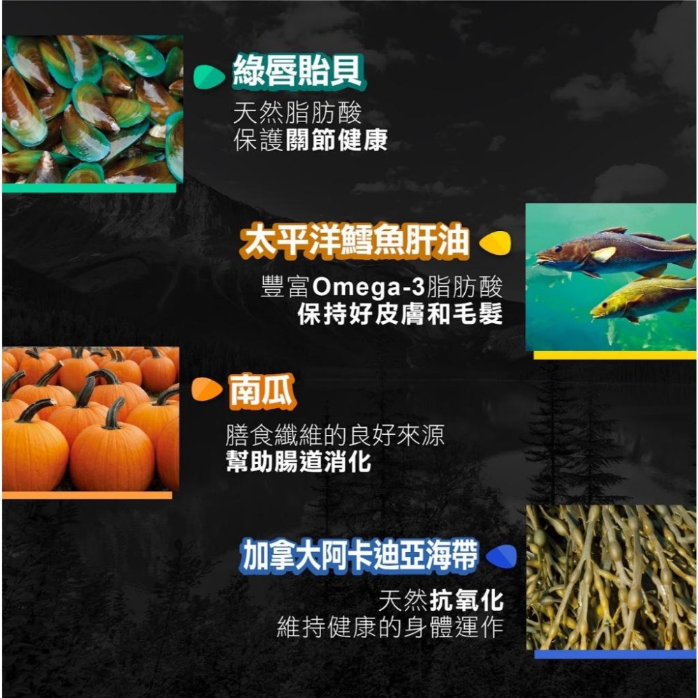 ~Petroyal~ 紐崔斯 Nutrience SUBZERO頂級無穀飼料+凍乾 貓飼料 無穀 火雞肉 鮭魚 野豬肉-細節圖6