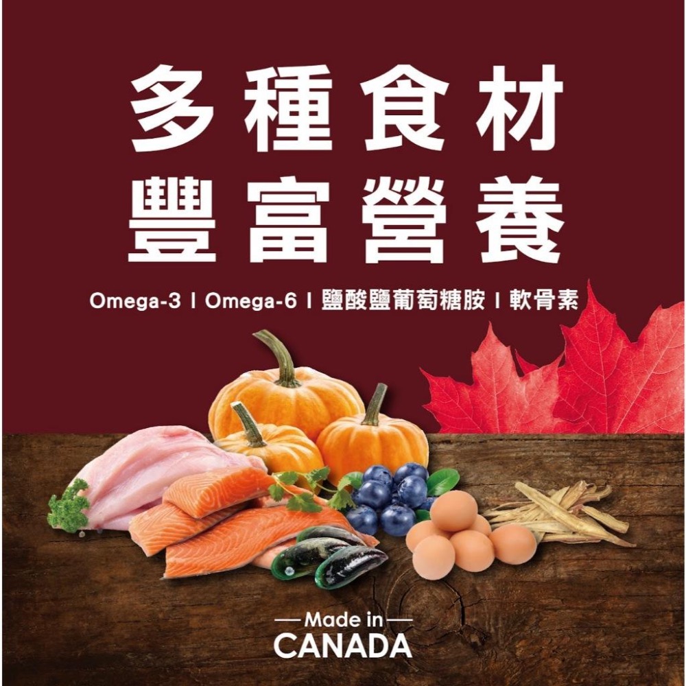 ~Petroyal~ 紐崔斯 Nutrience SUBZERO頂級無穀飼料+凍乾 貓飼料 無穀 火雞肉 鮭魚 野豬肉-細節圖7