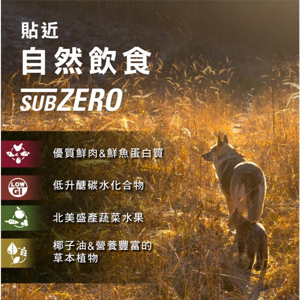 ~Petroyal~ 紐崔斯 Nutrience SUBZERO頂級無穀飼料+凍乾 貓飼料 無穀 火雞肉 鮭魚 野豬肉-細節圖8