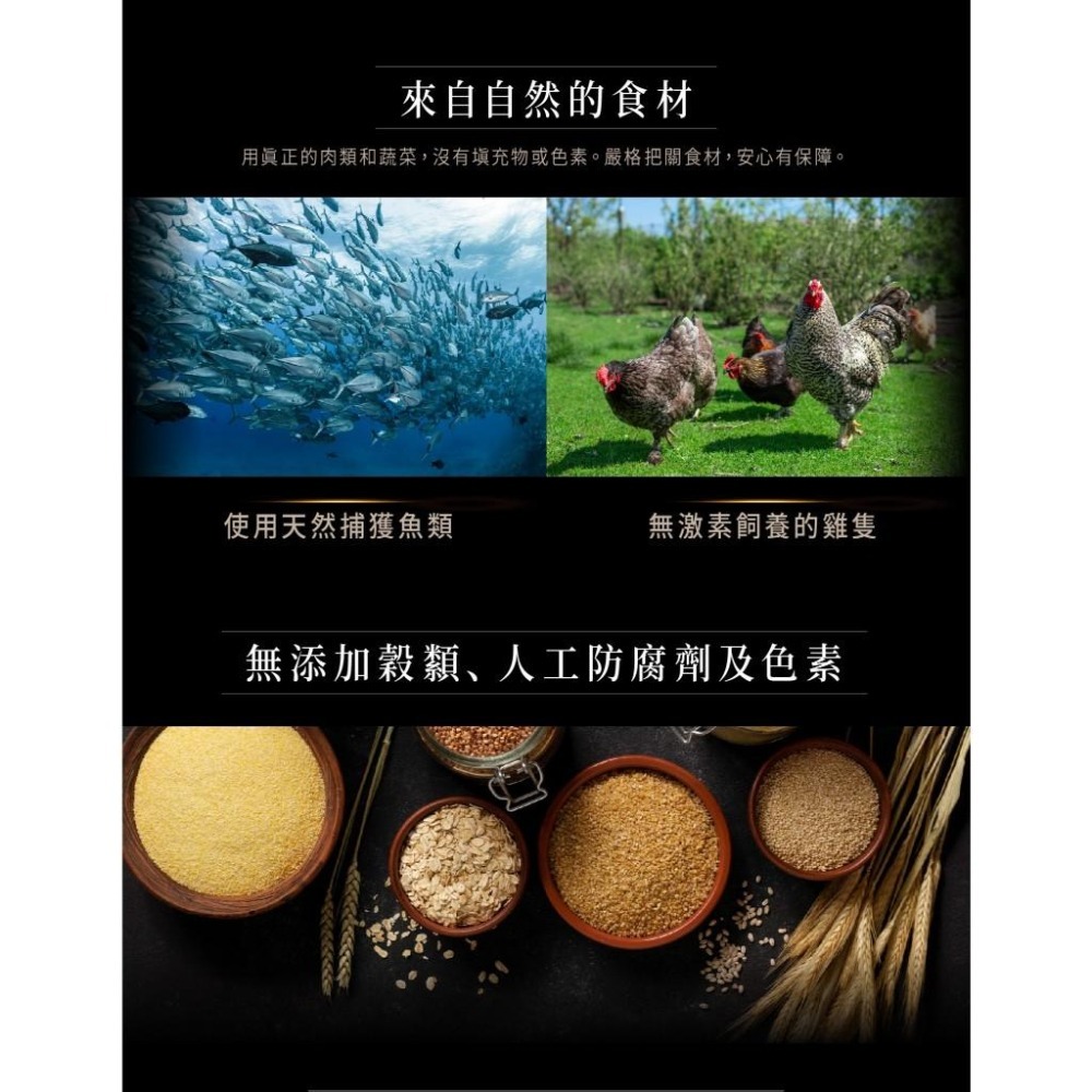 ~Petroyal~Cherie 法麗 大黑罐 全照護主食罐 小黑罐 鵝絨慕斯口感 165g 5種口味 整箱 法麗主食罐-細節圖5