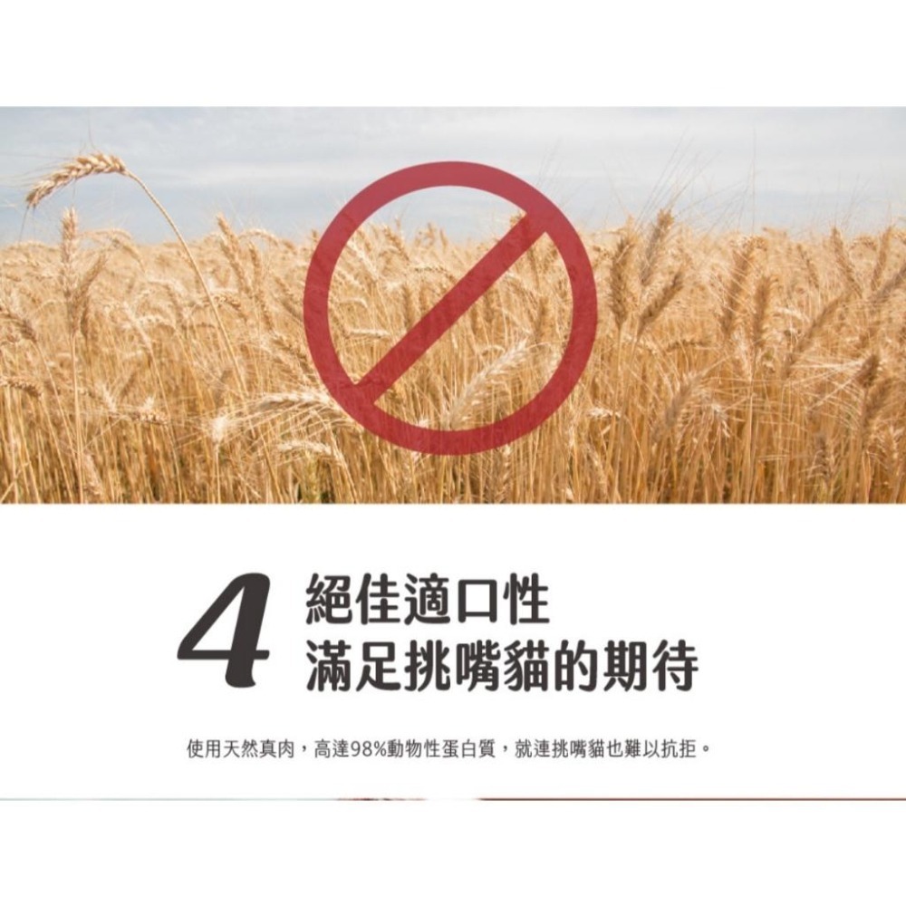 ~Petroyal~法麗 自然小貓 Natural Kitty｜98%動物性蛋白質主食罐 70G 貓主食罐 貓罐頭 整箱-細節圖6