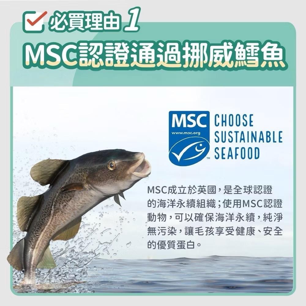 ~Petroyal~ 【毛孩時代】85%鮮雞肉 鮮魚肉 無穀全貓糧1.5kg/包(無穀貓飼料、腸胃保健、皮膚保健、貓糧-細節圖6