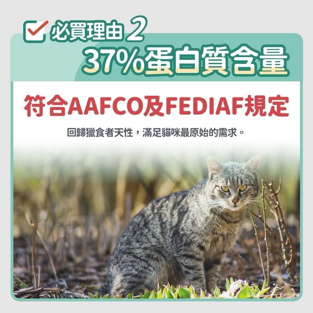 ~Petroyal~ 【毛孩時代】85%鮮雞肉 鮮魚肉 無穀全貓糧1.5kg/包(無穀貓飼料、腸胃保健、皮膚保健、貓糧-細節圖7