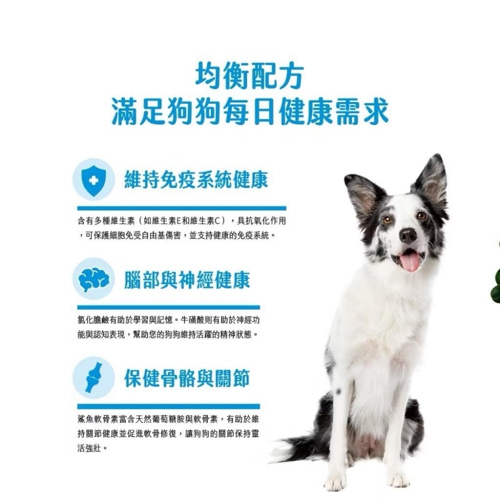 ~Petroyal~ 【Eries 伊瑞思】益生菌酵素成犬糧丨狗主食丨1kg丨伊瑞思狗飼料 無穀狗飼料 益生菌狗飼料-細節圖7