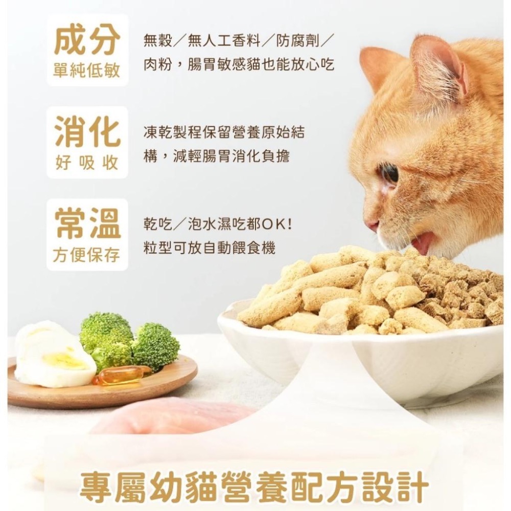 ~Petroyal~ 【汪喵星球】 台灣製造 幼貓凍乾主食餐 500g 凍乾 貓主食 高肉含量 天然低敏 幼貓凍乾 鱈魚-細節圖7