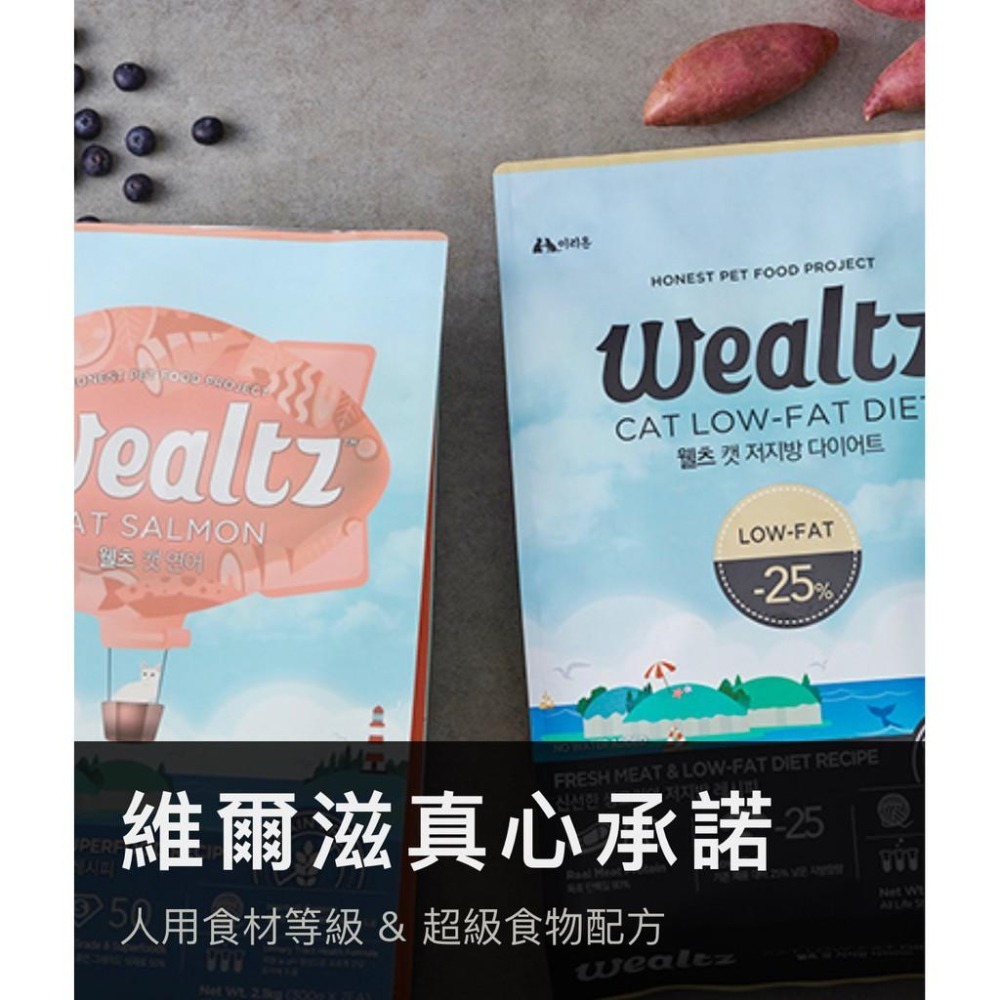 ~Petroyal~ Wealtz 維爾滋 天然無穀貓飼料 幼貓 成貓 全齡貓 化毛貓  維爾滋貓飼料 無穀貓飼料-細節圖4
