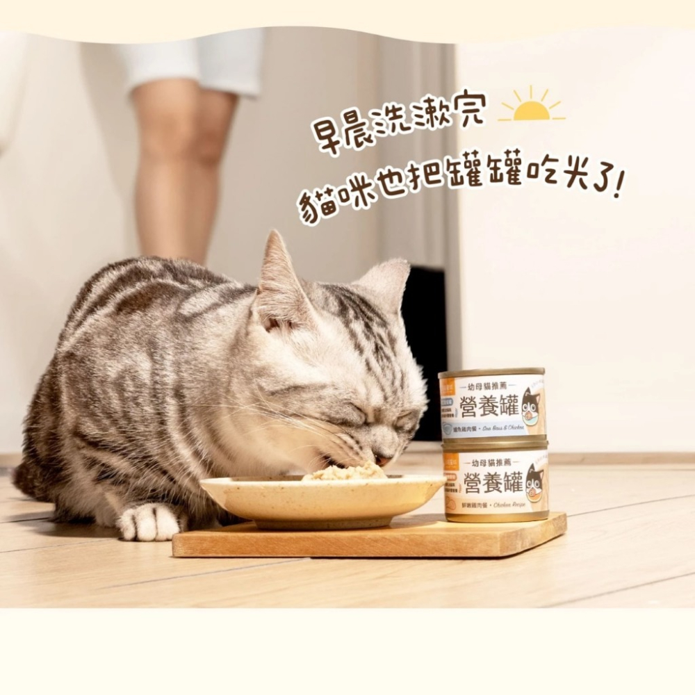 ~Petroyal ~【汪喵星球】幼母貓98%營養無膠主食罐 單罐55G 80G&165G 幼貓罐 幼貓 貓主食 迷你罐-細節圖5