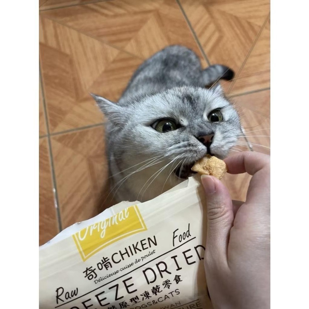 ~Petroyal~ CHIKEN 奇啃 天然原型凍乾零食30g 開袋即食 天然無負擔 犬貓零食-細節圖6