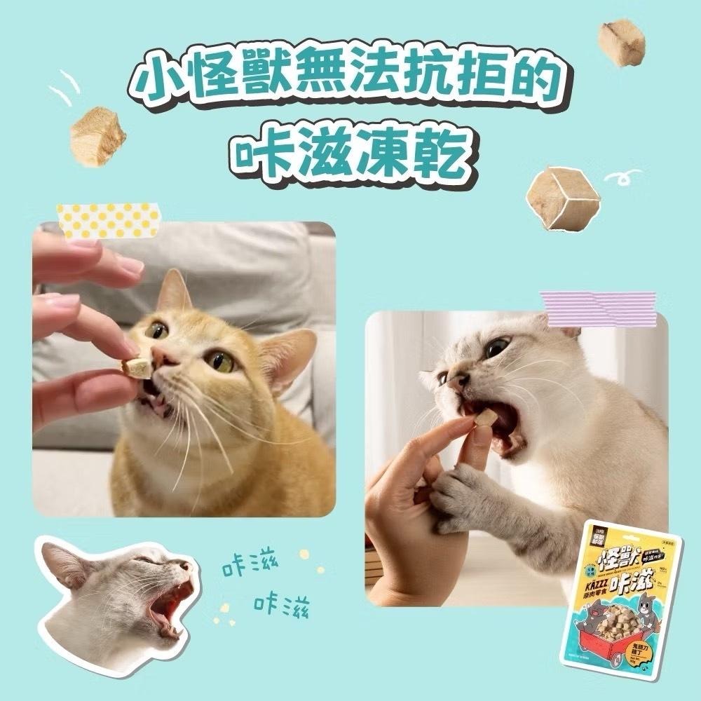 ~Petroyal~【怪獸部落LitoMon】鬼頭刀 雞肉 丁香魚 怪獸卡滋KAZZZ 原肉零食 凍乾 貓零食 狗零食-細節圖3