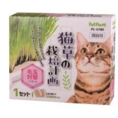 ~Petroyal~ Pet Best 貓草的栽培計劃兩包入 貓草種子 貓草盆栽 DIY貓草種植組 貓薄荷 大麥 黑麥-細節圖2