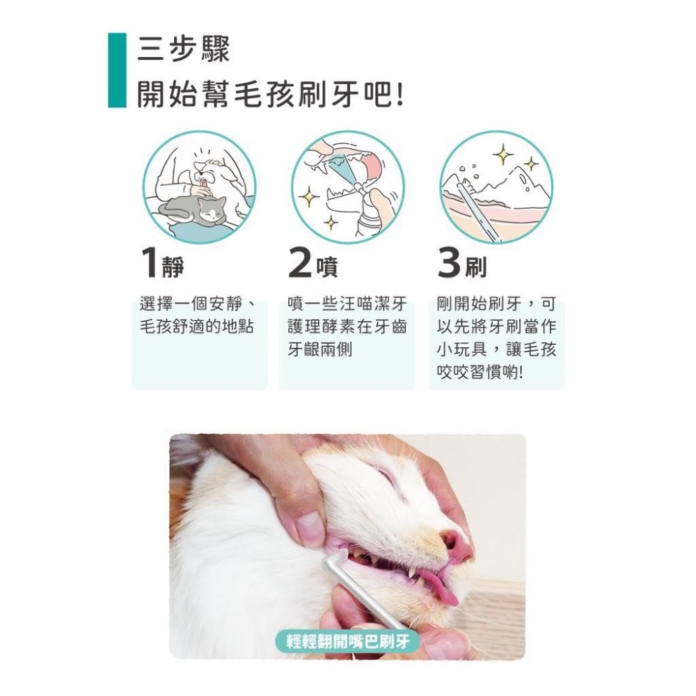 ~Petroyal~ 汪喵星球 犬貓軟毛牙刷 (三款) 寵物牙刷 貓牙刷 口腔清潔 保健 清潔美容 貓狗通用-細節圖5