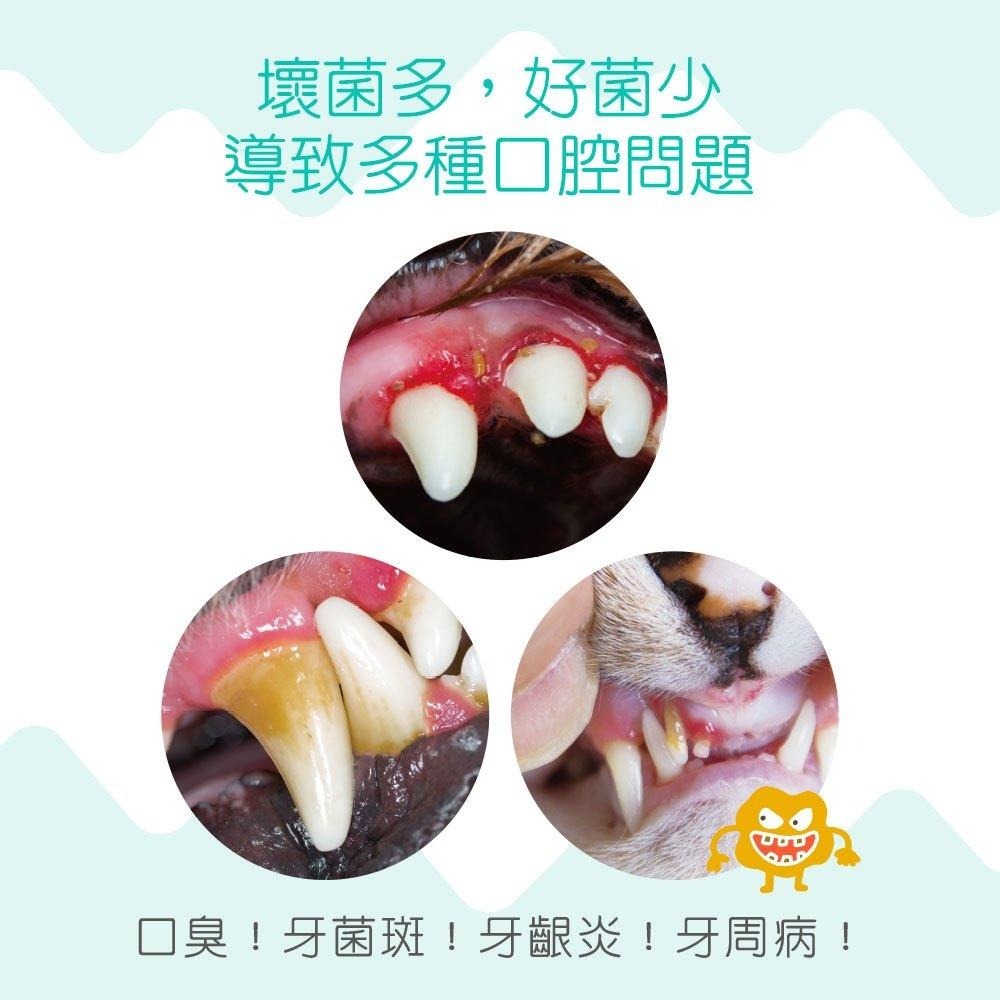 ~Petroyal~ IN Plus 好好益菌潔牙噴噴 口腔保健 貓用 犬用 潔牙噴霧 益生菌 in plus 保健-細節圖5