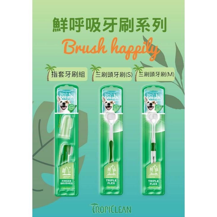 ~Petroyal~美國Fresh breath 鮮呼吸牙刷系列 指套牙刷組 三刷頭牙刷 搭配凝膠更有效 寵物牙刷-細節圖3