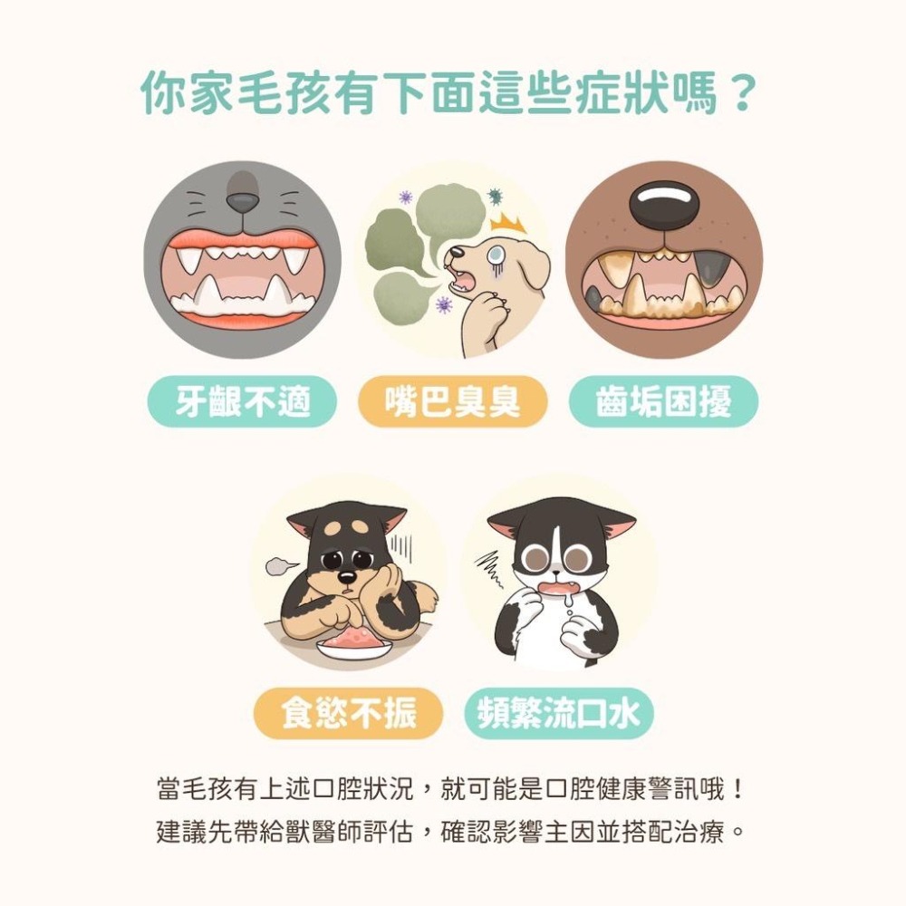 ~Petroyal~ 【汪喵星球】潔牙護理酵素(噴劑型) 30ml 犬貓 口腔 清潔 照護-細節圖4