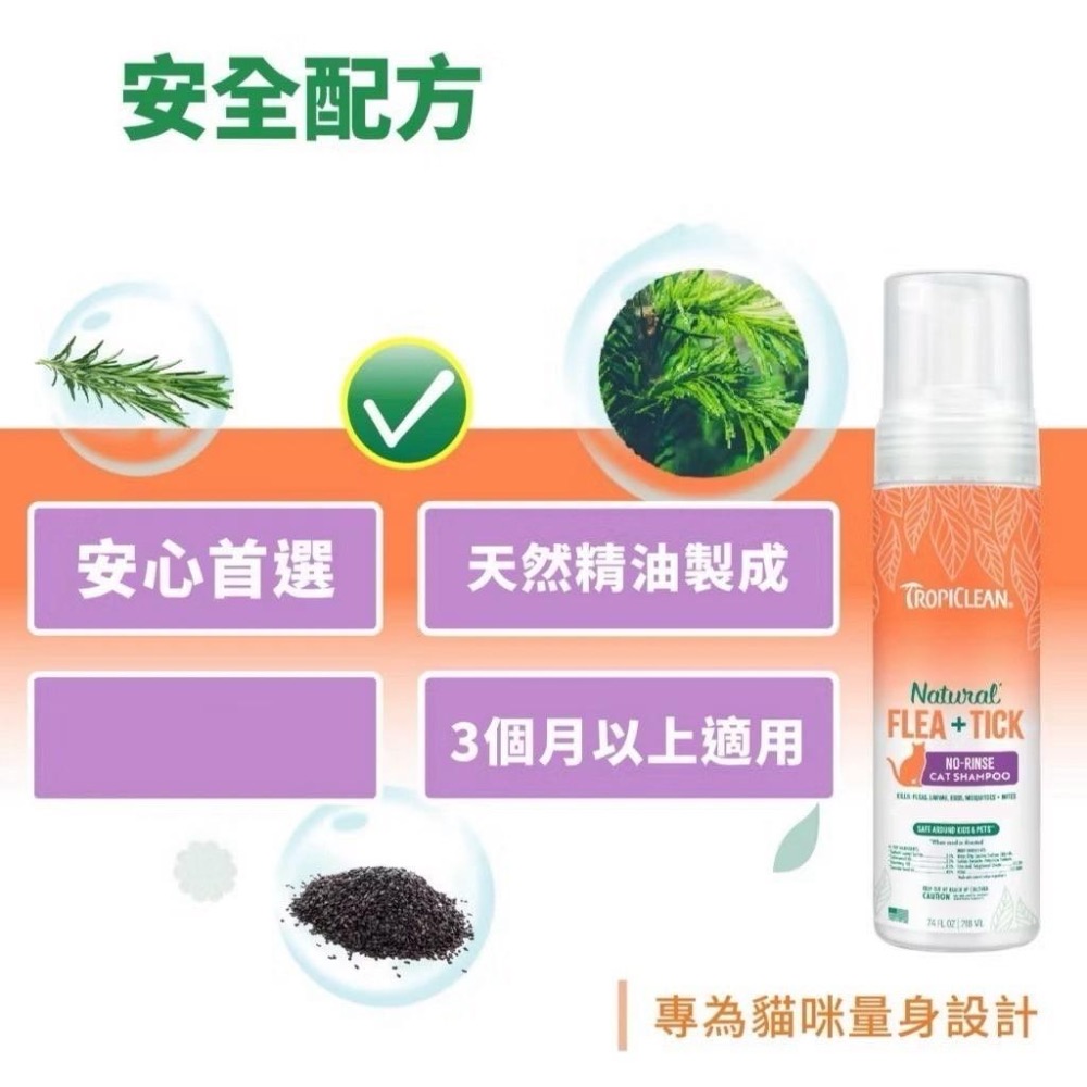 ~Petroyal~ 巧倍麗 蚤蜱逃 貓用噴霧 貓用噴劑 貓用乾洗精 貓專用 貓噴霧 貓噴劑 貓乾洗精 巧倍麗-細節圖4